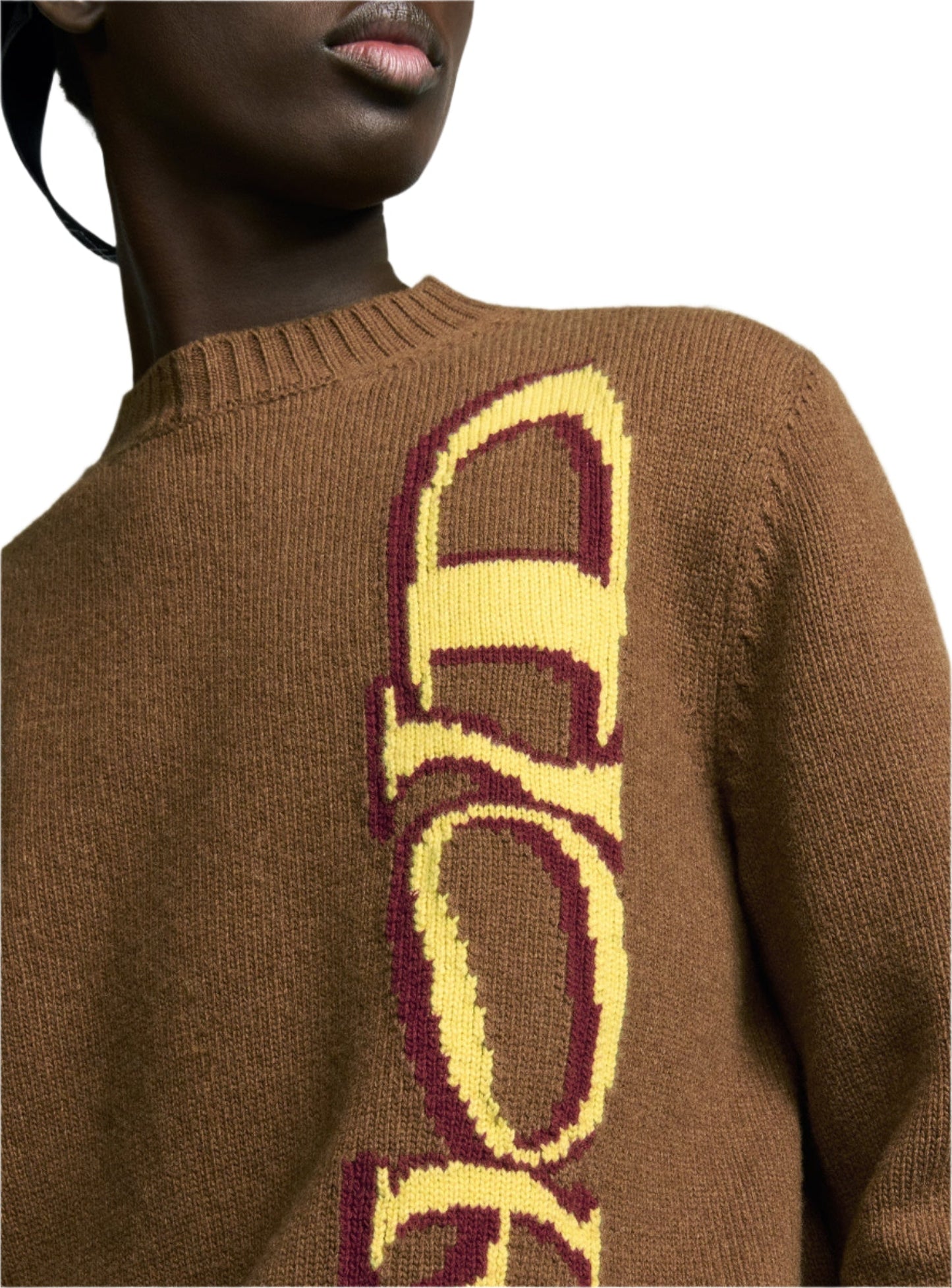 Dior and Lewis Hamilton Sweater Limited Edition Sweater UAE