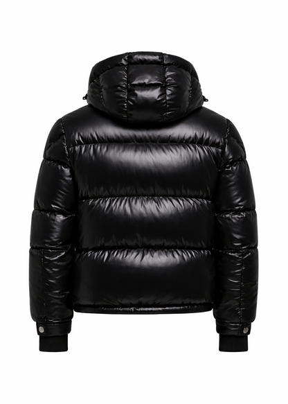 Moncler Montbeliard Hooded Short Down Jacket Winter Jacket UAE