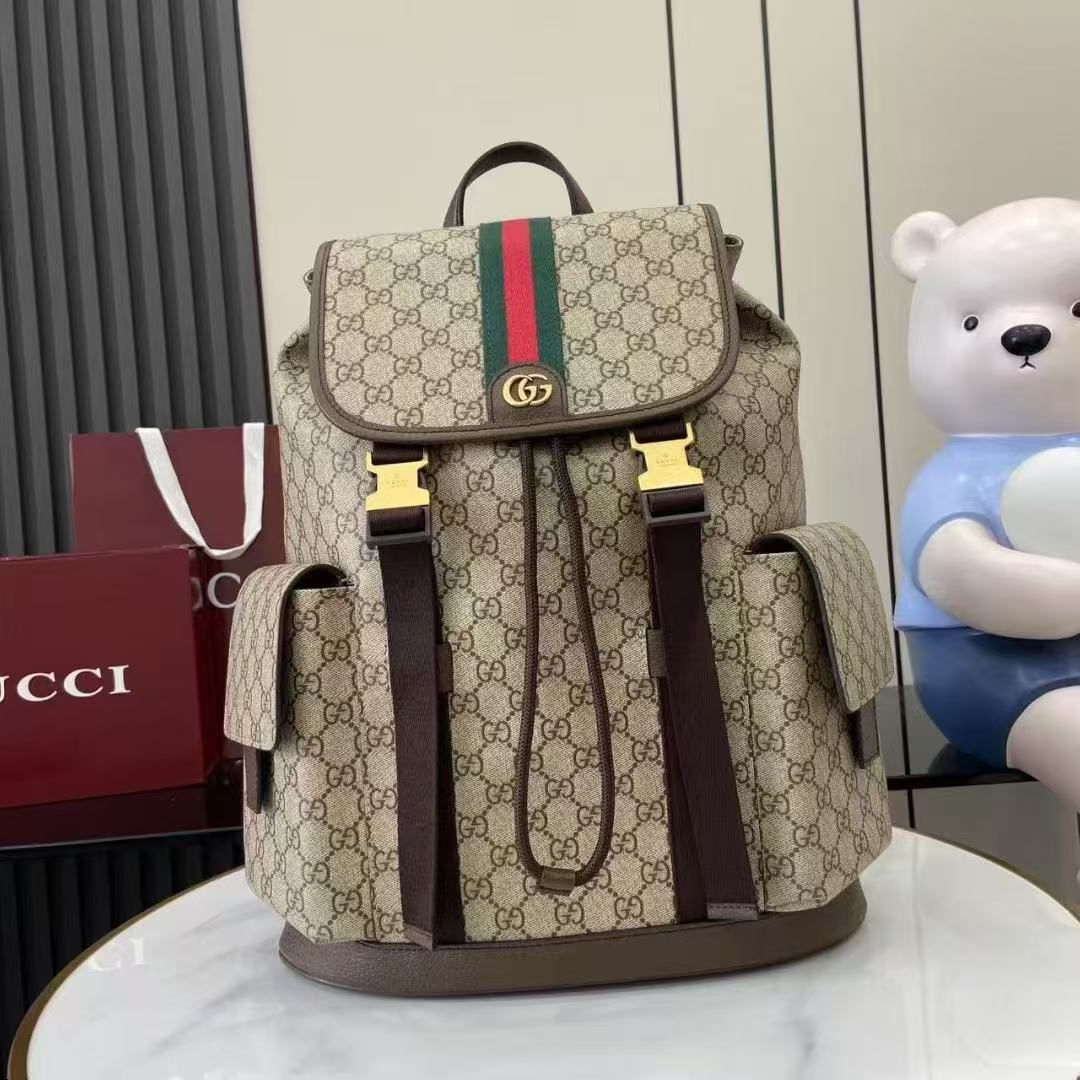 Gucci bag - backpack