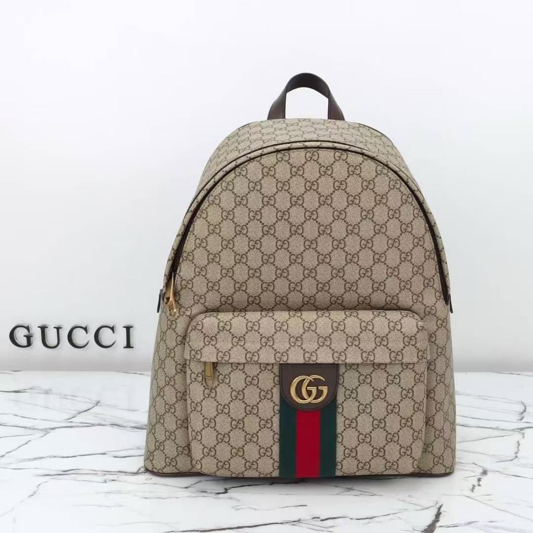 Gucci bag - backpack