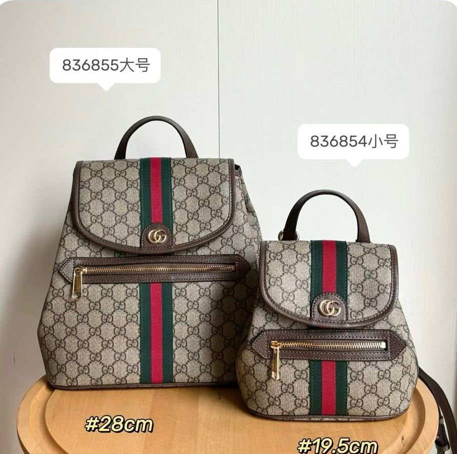 Gucci bag backpack
