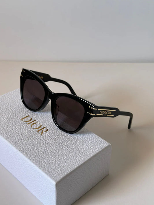 Christian Dior Acetate DiorSignature B4I Sunglasses
