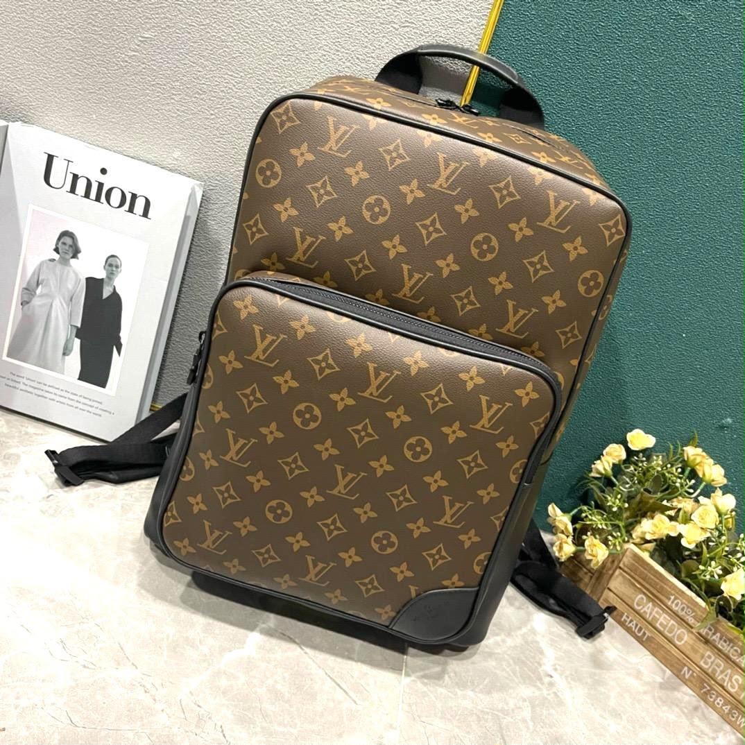 Lv bag - backpack